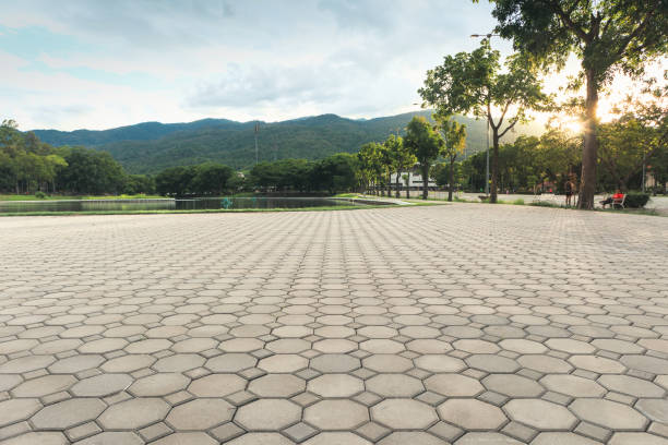 Best Driveway Pavers Near Me  in Eagle Pass, TX