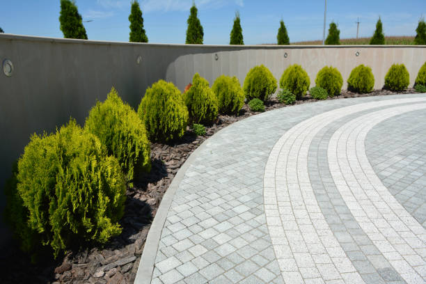 Best Driveway Pavers Near Me  in Eagle Pass, TX
